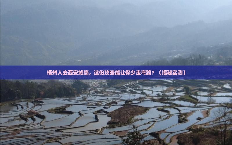 梧州去西安城墙旅行社