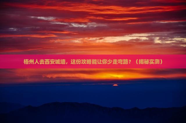 梧州去西安城墙旅行社