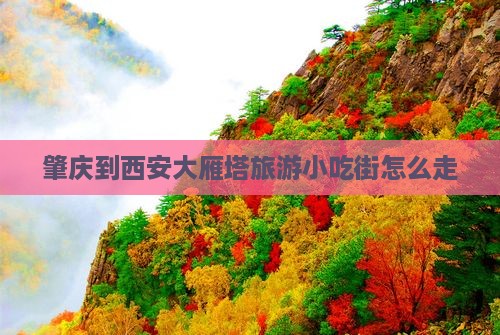 肇庆到西安大雁塔旅游小吃