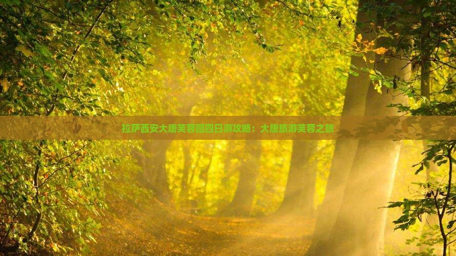 拉萨去西安大唐芙蓉园四日游