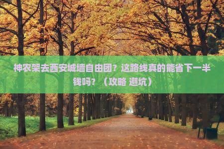 神农架去西安城墙自由团