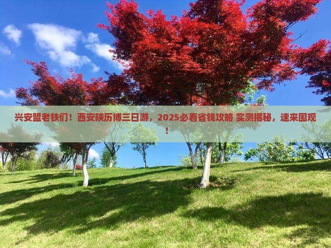 兴安盟到西安陕西历史博物馆三日游