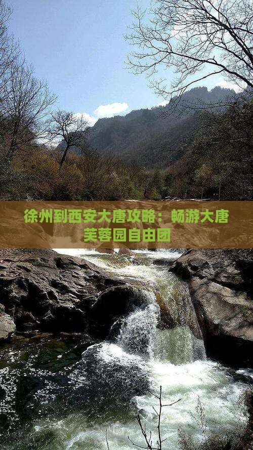 徐州到西安大唐芙蓉园自由团