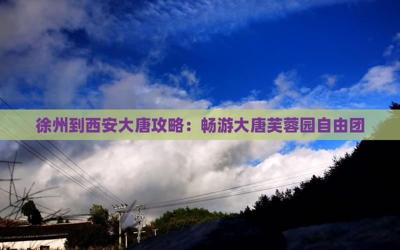 徐州到西安大唐芙蓉园自由团