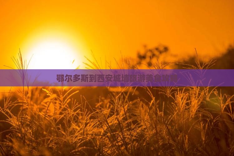 鄂尔多斯到西安城墙旅游小吃