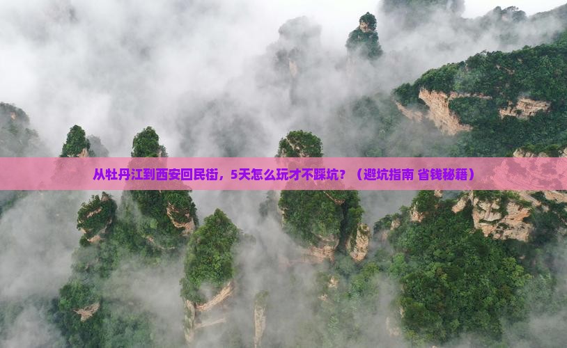 牡丹江去西安回民街旅游