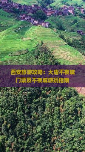 巴彦倬尔去西安大唐不夜城门票