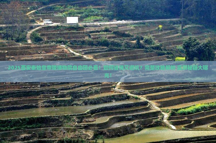 三月到西安秦始皇帝陵博物院自由团