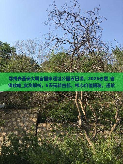 鄂州去西安大明宫国家遗址公园五日游