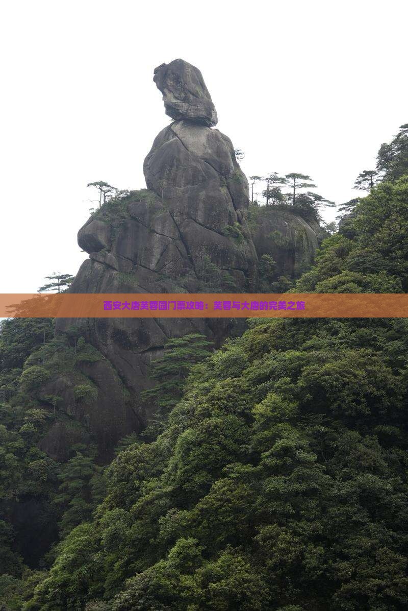 哈尔滨去西安大唐芙蓉园门票