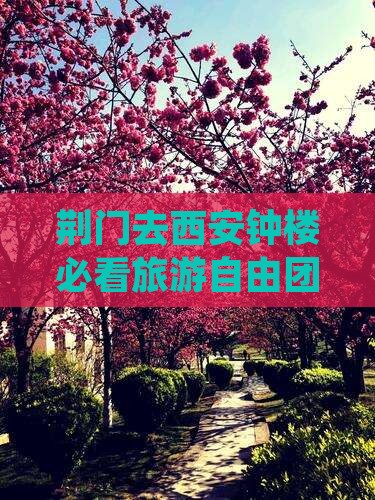 荆门去西安钟楼自由团
