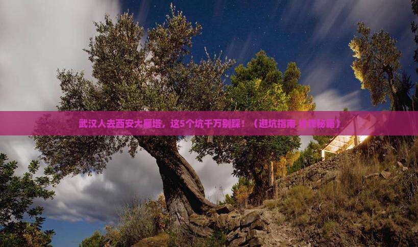 武汉去西安大雁塔旅行社