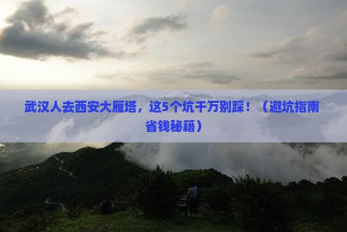 武汉去西安大雁塔旅行社