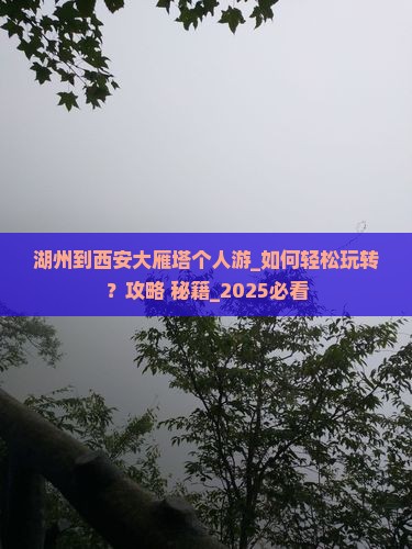 湖州到西安大雁塔个人游