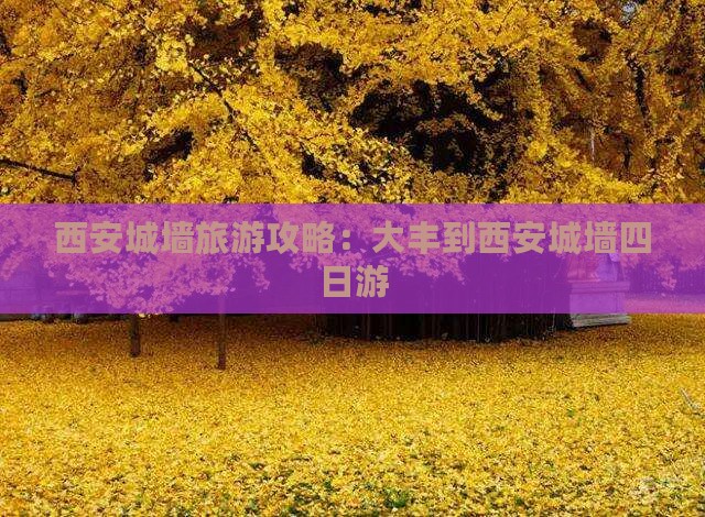 大丰到西安城墙四日游