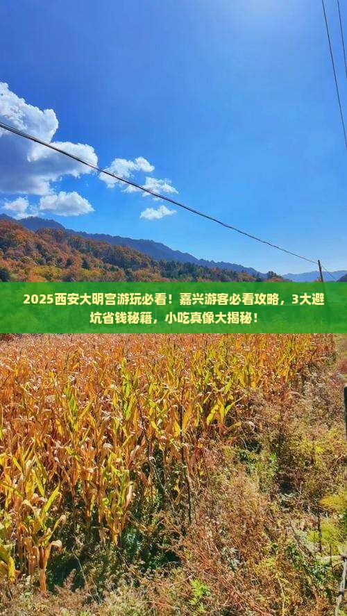 嘉兴到西安大明宫国家遗址公园旅游小吃