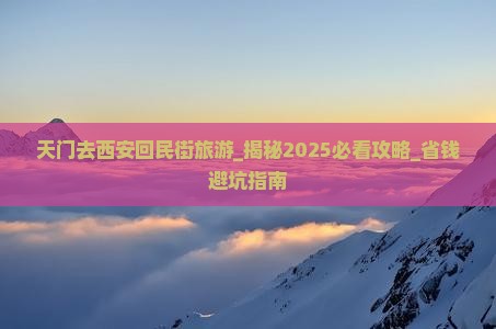 天门去西安回民街旅游