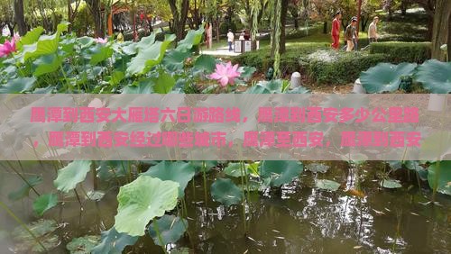 鹰潭到西安大雁塔六日游