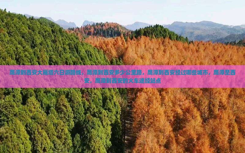 鹰潭到西安大雁塔六日游