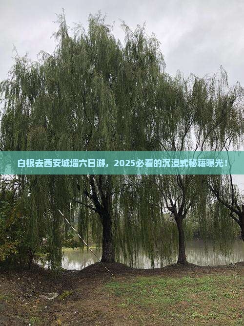 白银去西安城墙六日游