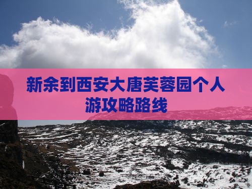 新余到西安大唐芙蓉园个人游
