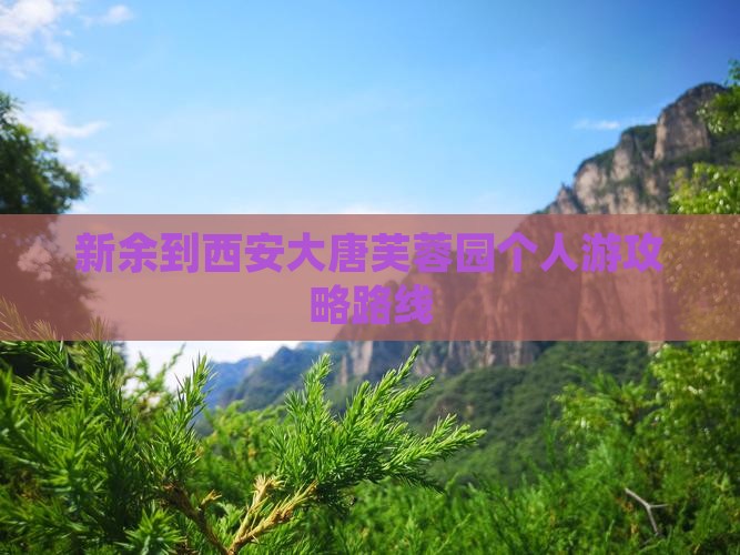 新余到西安大唐芙蓉园个人游