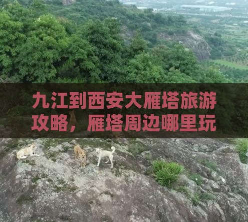 九江到西安大雁塔哪里玩