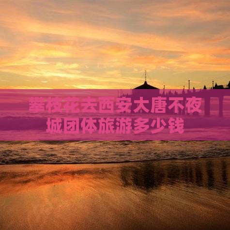 攀枝花去西安大唐不夜城团体旅游