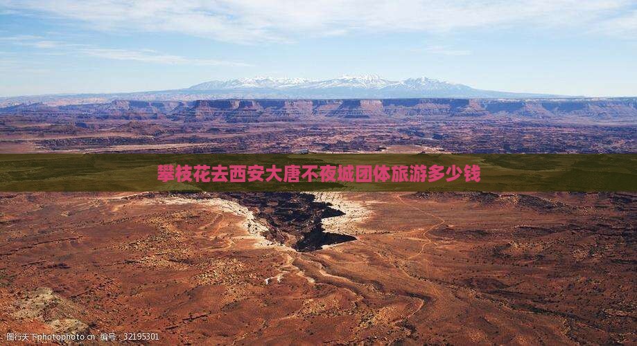 攀枝花去西安大唐不夜城团体旅游