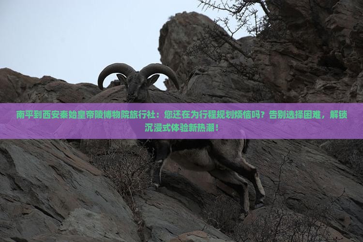 南平到西安秦始皇帝陵博物院旅行社