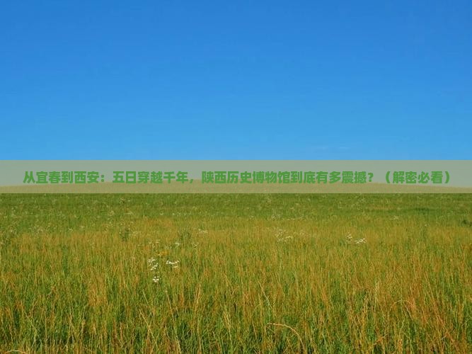 宜春去西安陕西历史博物馆五日游