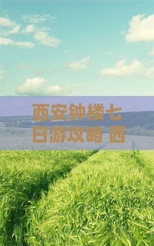 天门去西安钟楼七日游