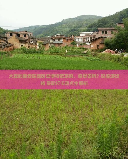 大理到西安陕西历史博物馆旅游