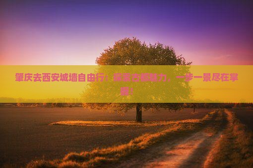 肇庆去西安城墙自由行