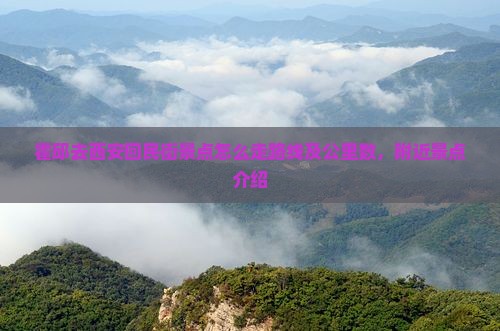 霍邱去西安回民街景点