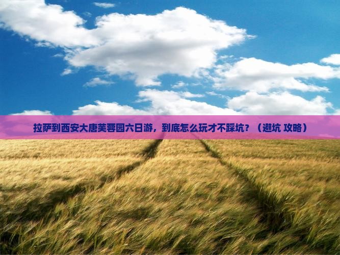 拉萨到西安大唐芙蓉园六日游