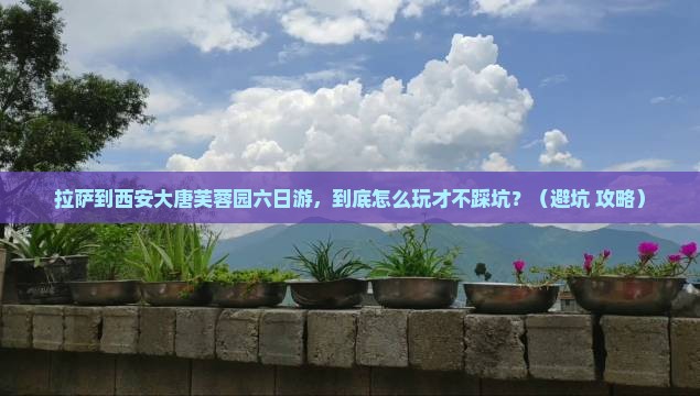 拉萨到西安大唐芙蓉园六日游