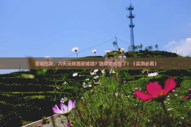 晋城到西安城墙六日游