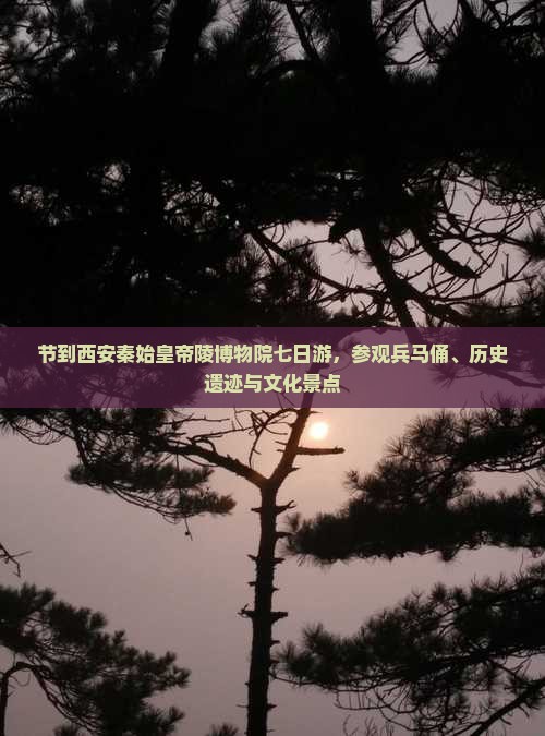 国庆节到西安秦始皇帝陵博物院七日游