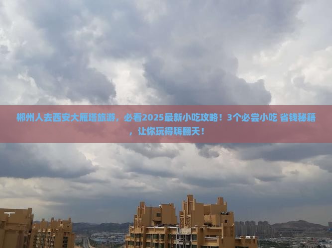 郴州去西安大雁塔旅游小吃