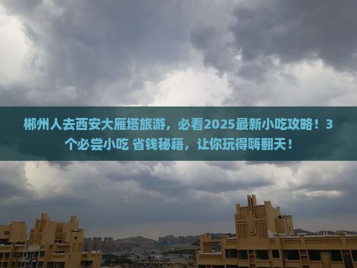 郴州去西安大雁塔旅游小吃