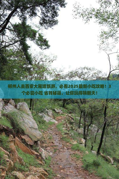 郴州去西安大雁塔旅游小吃