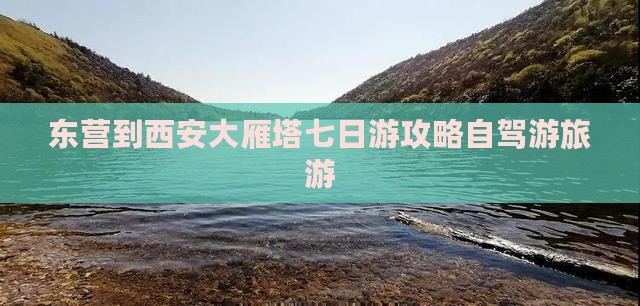 东营到西安大雁塔七日游
