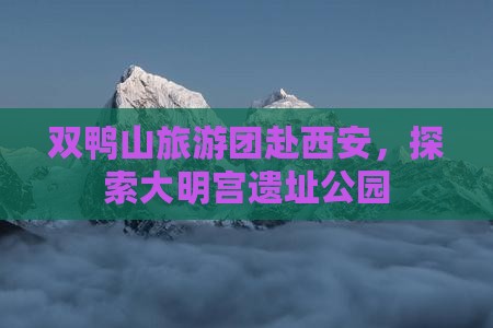 双鸭山到西安大明宫国家遗址公园大型旅游团