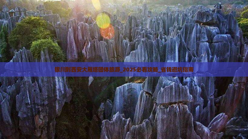 银川到西安大雁塔团体旅游