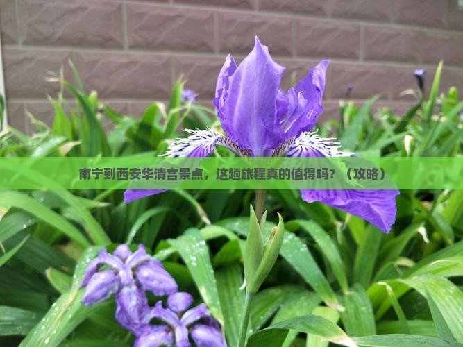 南宁到西安华清宫景点