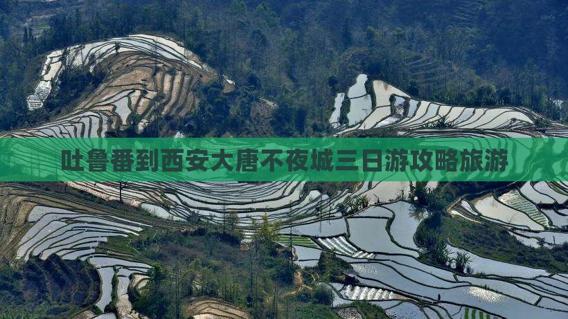 吐鲁番去西安大唐不夜城三日游