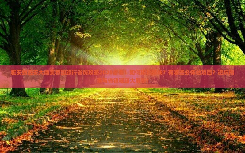 雅安到西安大唐芙蓉园旅行社