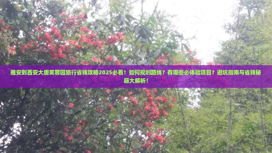 雅安到西安大唐芙蓉园旅行社
