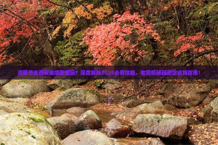 清明节去西安城墙哪里玩